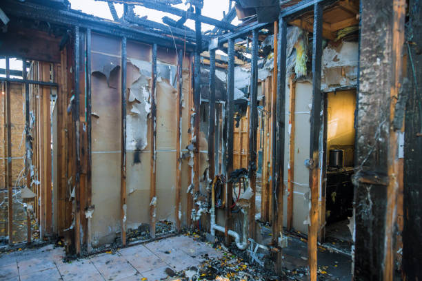 Professional Smoke Damage Removal technician working in Middlebush, NJ